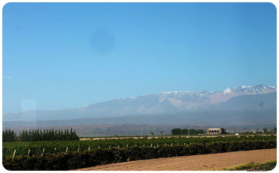 Argentina by Bus: Breathtaking Road Trip Scenes and Insider Travel Tips