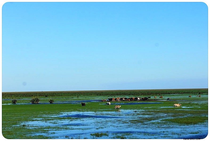 Argentina by Bus: Breathtaking Road Trip Scenes and Insider Travel Tips