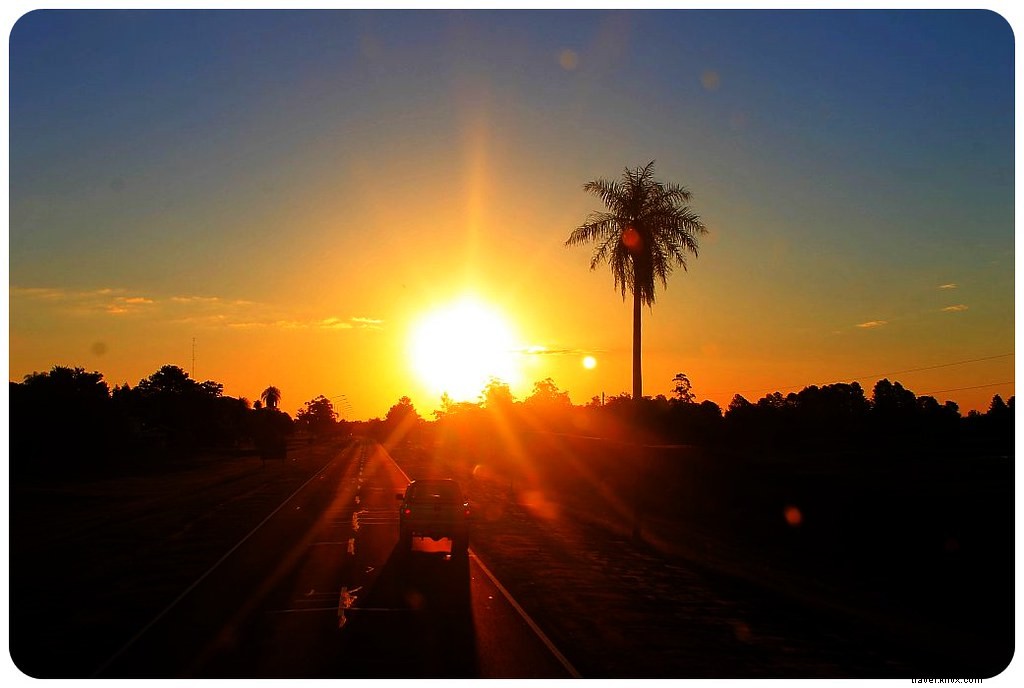 Argentina by Bus: Breathtaking Road Trip Scenes and Insider Travel Tips