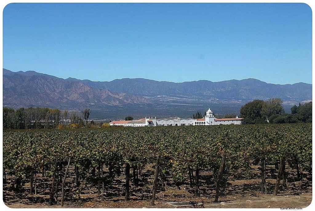 Argentina by Bus: Breathtaking Road Trip Scenes and Insider Travel Tips