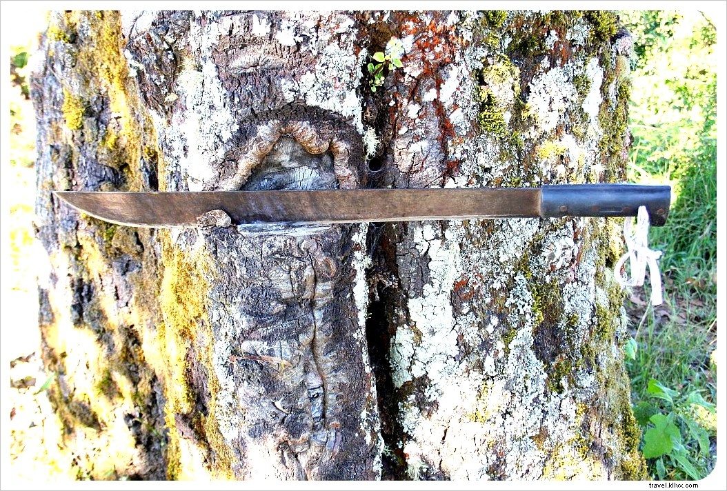 Epic Hike to Laguna de Alegria: From Easy Trail to Mountaineering Adventure in El Salvador