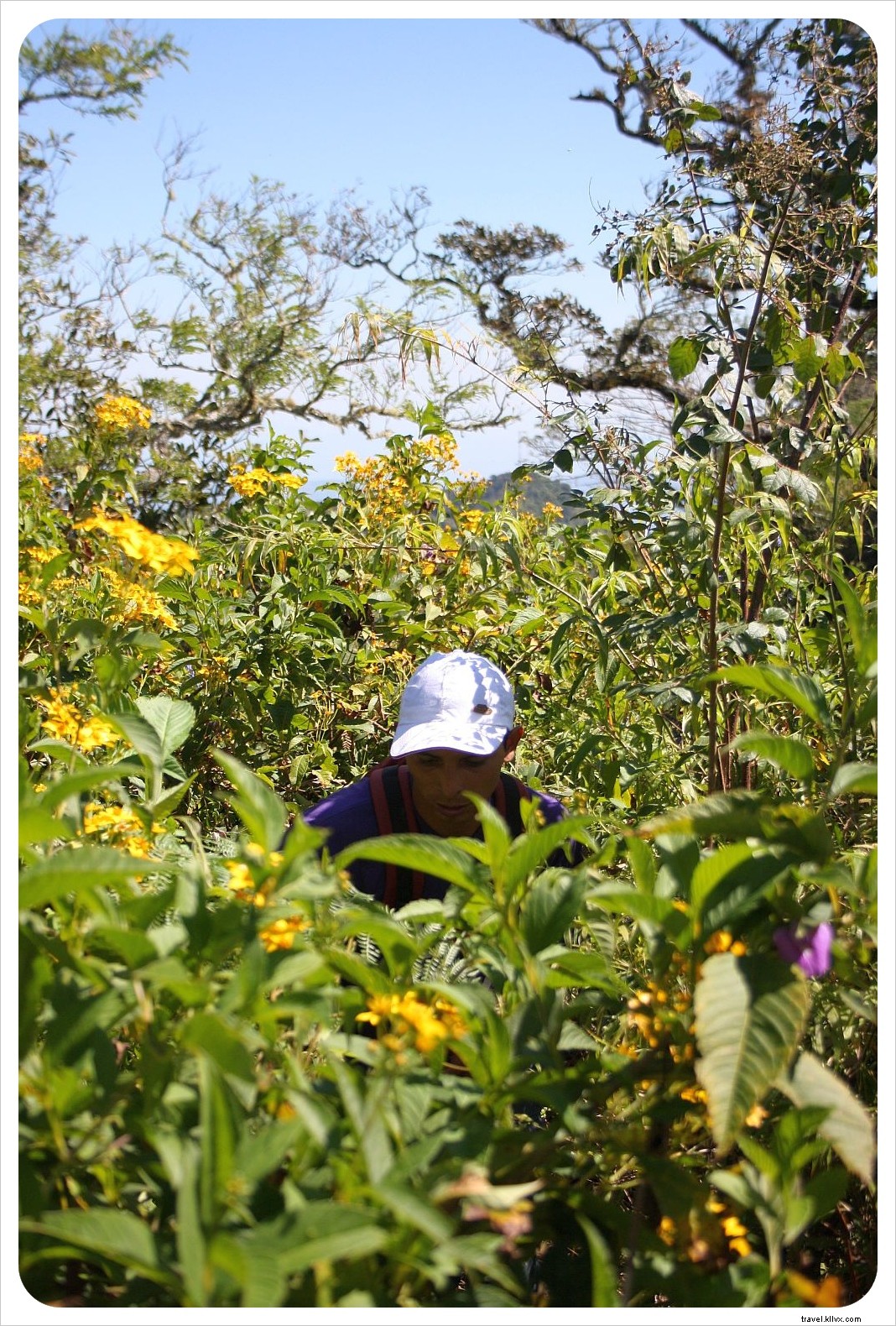 Epic Hike to Laguna de Alegria: From Easy Trail to Mountaineering Adventure in El Salvador