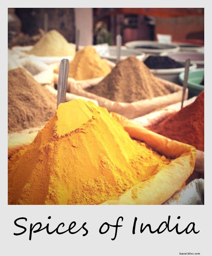 Polaroid of the Week: Unveiling the Aromatic Spices of India