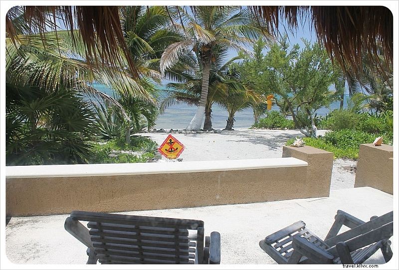 Housesitting a Remote Beach House in Mexico: Week 1 Experience