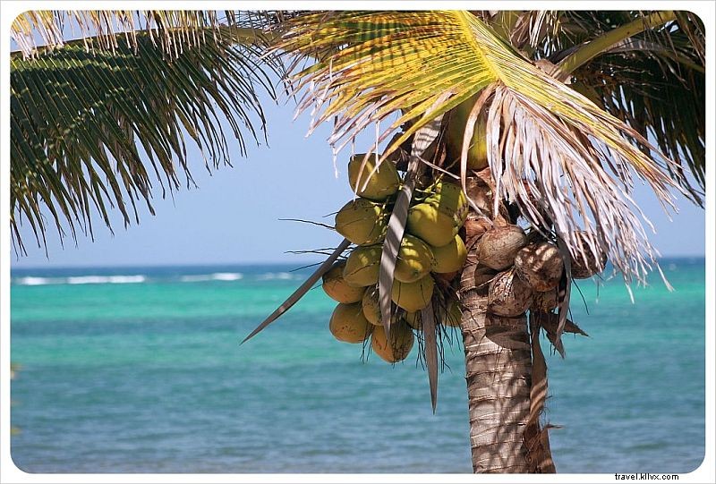 Housesitting a Remote Beach House in Mexico: Week 1 Experience