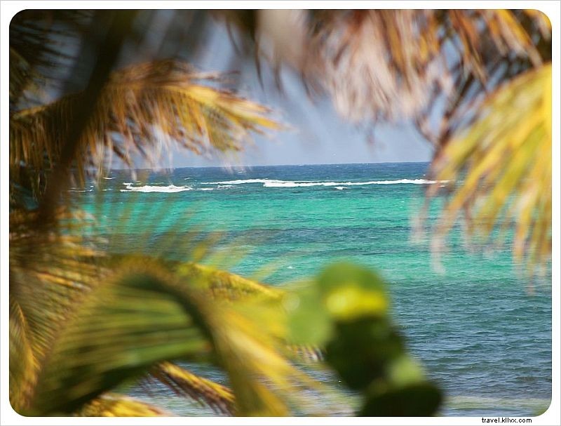 Housesitting a Remote Beach House in Mexico: Week 1 Experience