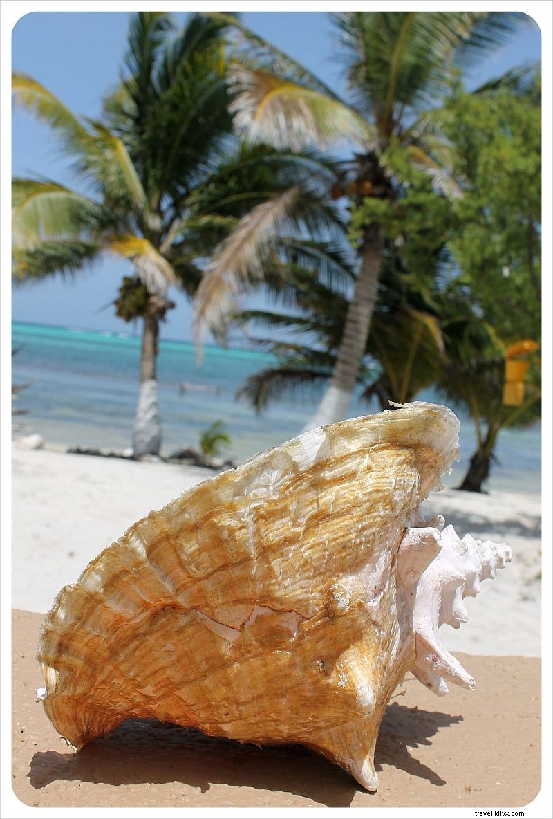 Housesitting a Remote Beach House in Mexico: Week 1 Experience