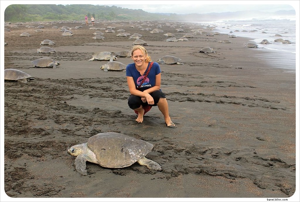 Witness the Spectacular Olive Ridley Turtle Arribada in Ostional, Costa Rica