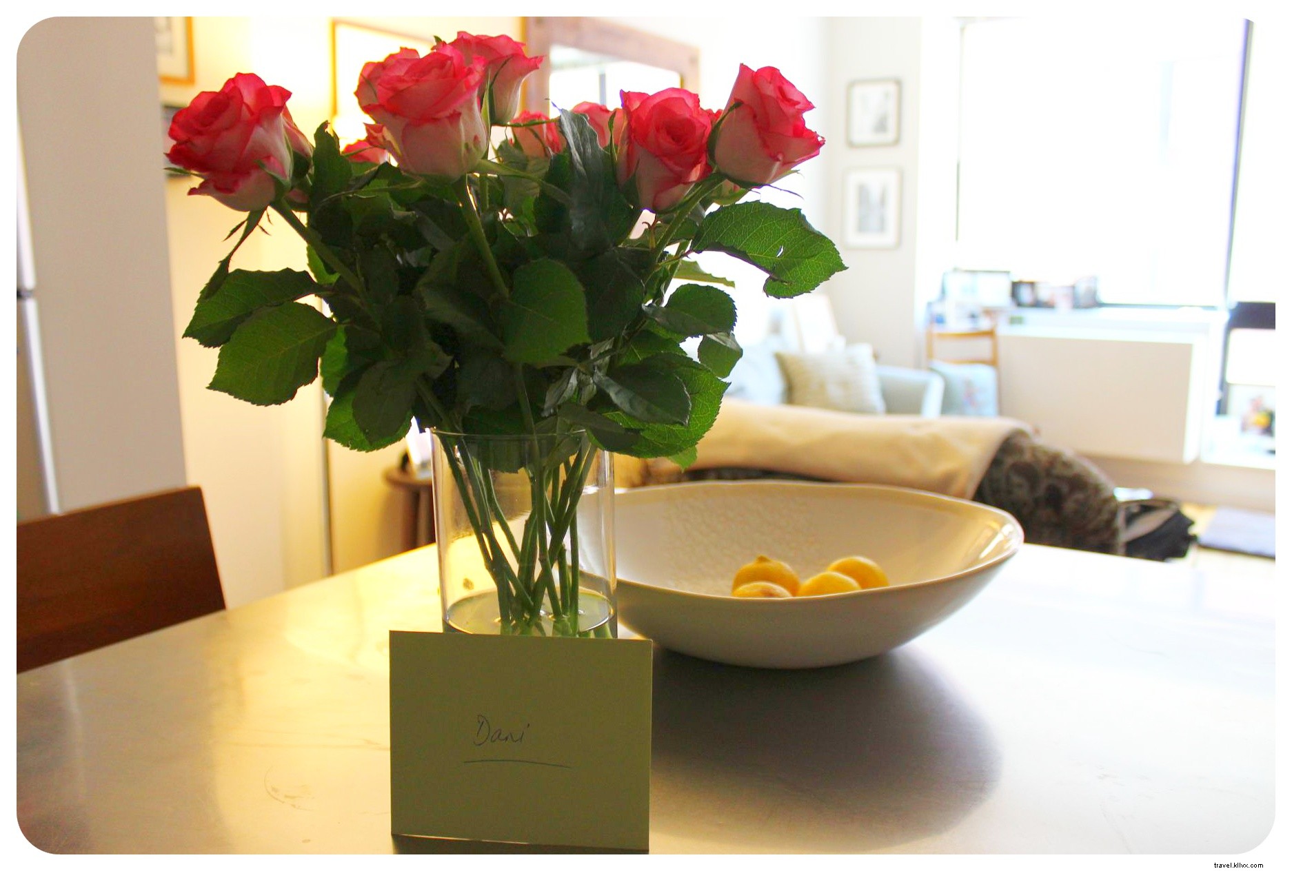 Housesitting Adventures in New York City: 8 Gigs, Neighborhood Discoveries, and Proven Tips