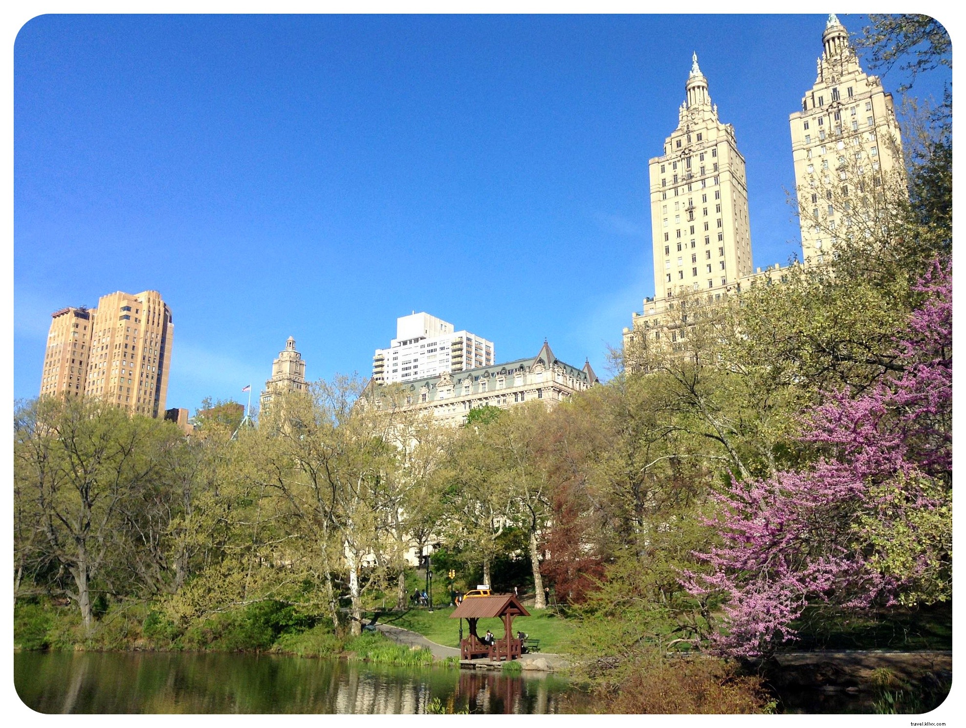 Housesitting Adventures in New York City: 8 Gigs, Neighborhood Discoveries, and Proven Tips