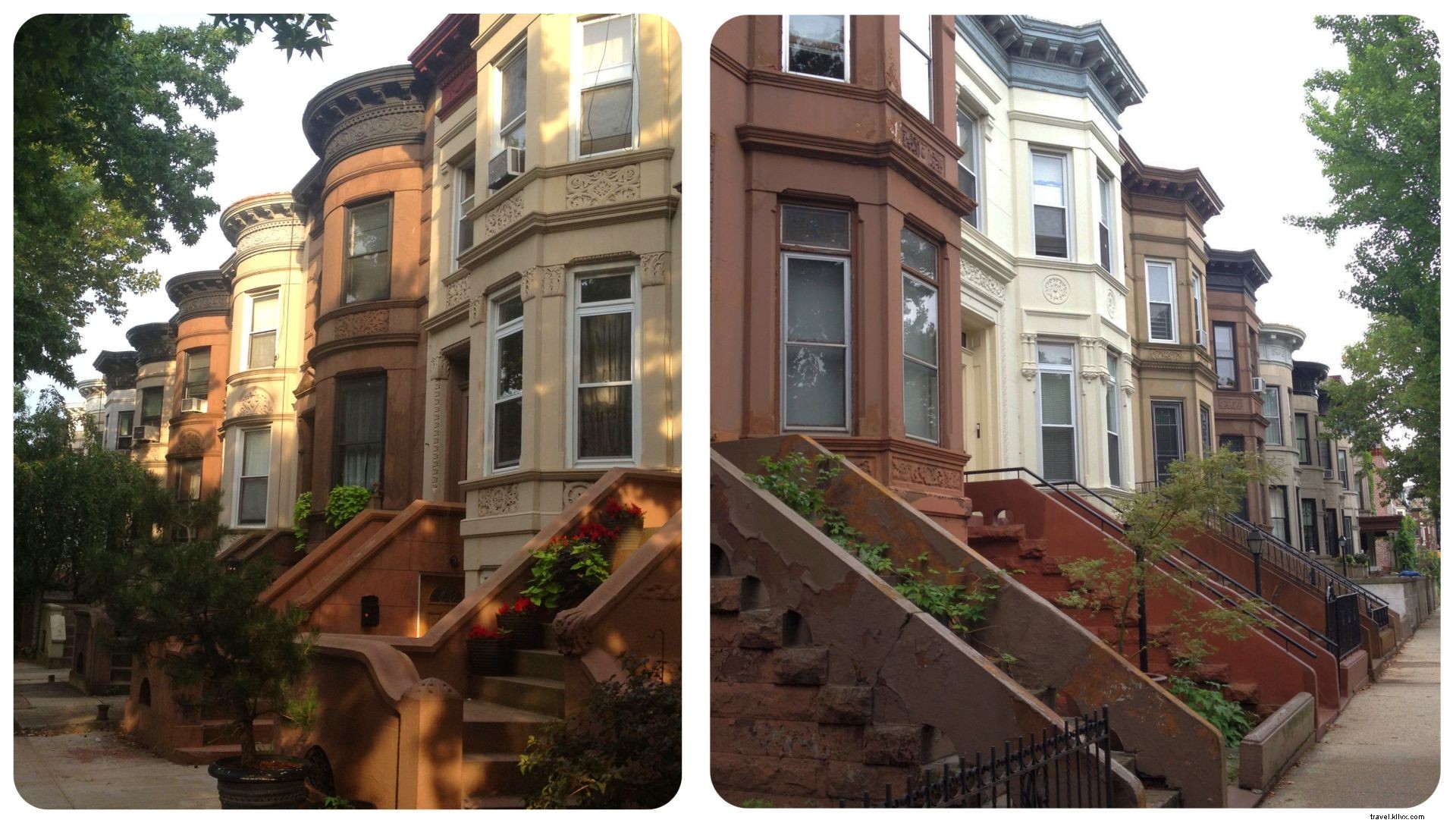 Housesitting Adventures in New York City: 8 Gigs, Neighborhood Discoveries, and Proven Tips