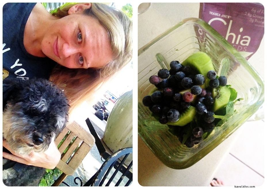 Housesitting Adventures in New York City: 8 Gigs, Neighborhood Discoveries, and Proven Tips