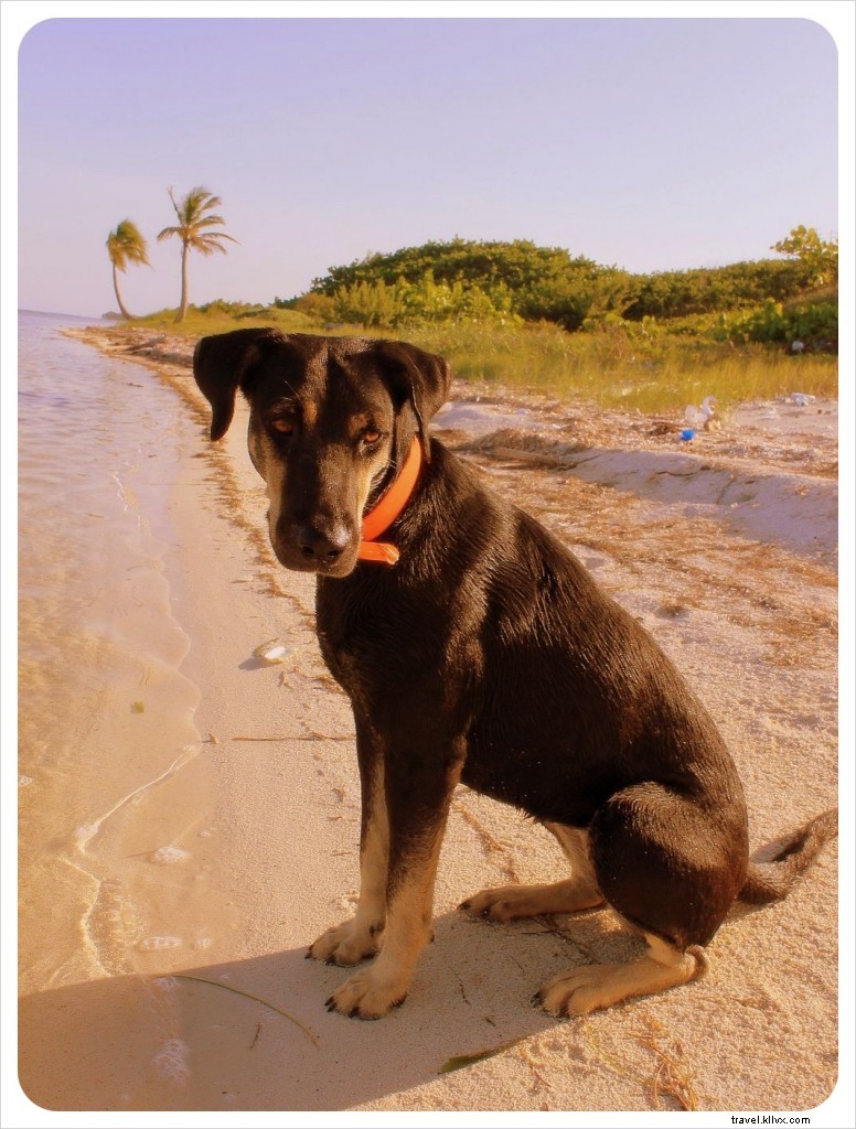 Hurricane Ernesto Looms: Evacuating Our Mexican Beach House Housesit