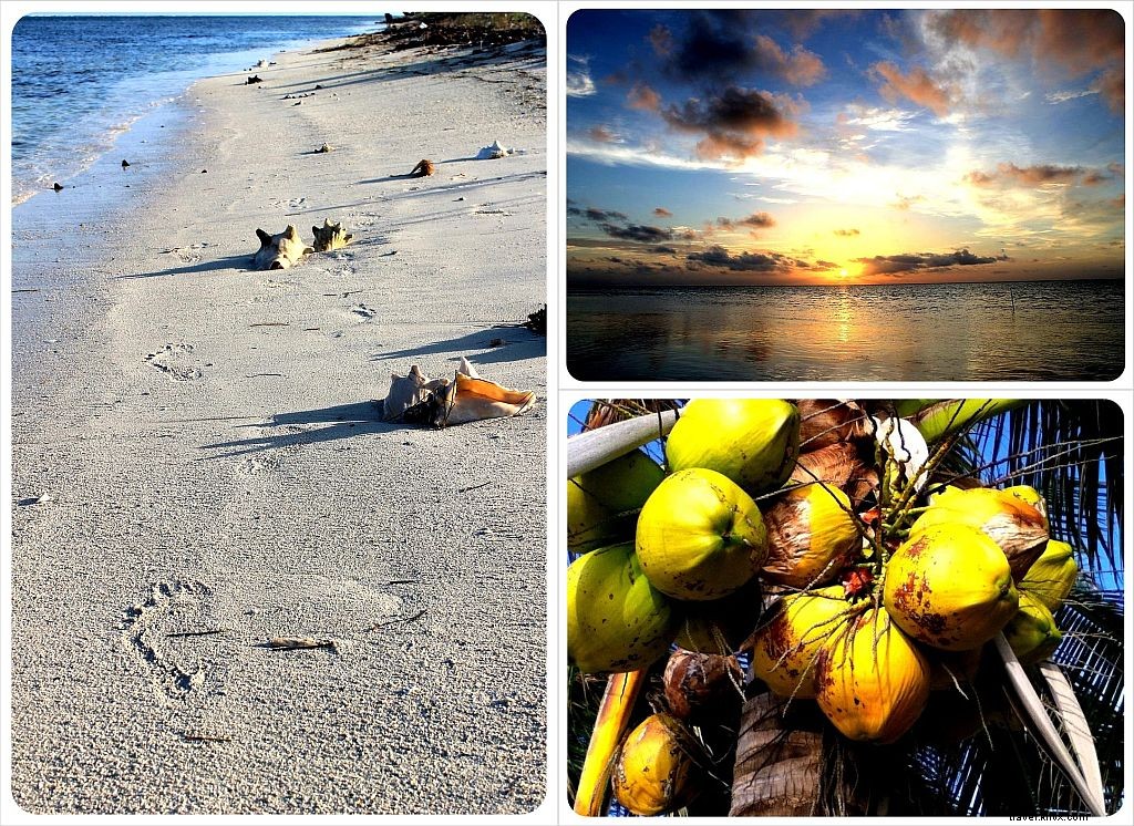 Surviving Costa Rica s 7.6 Earthquake: Our Beach House Housesitting Adventure