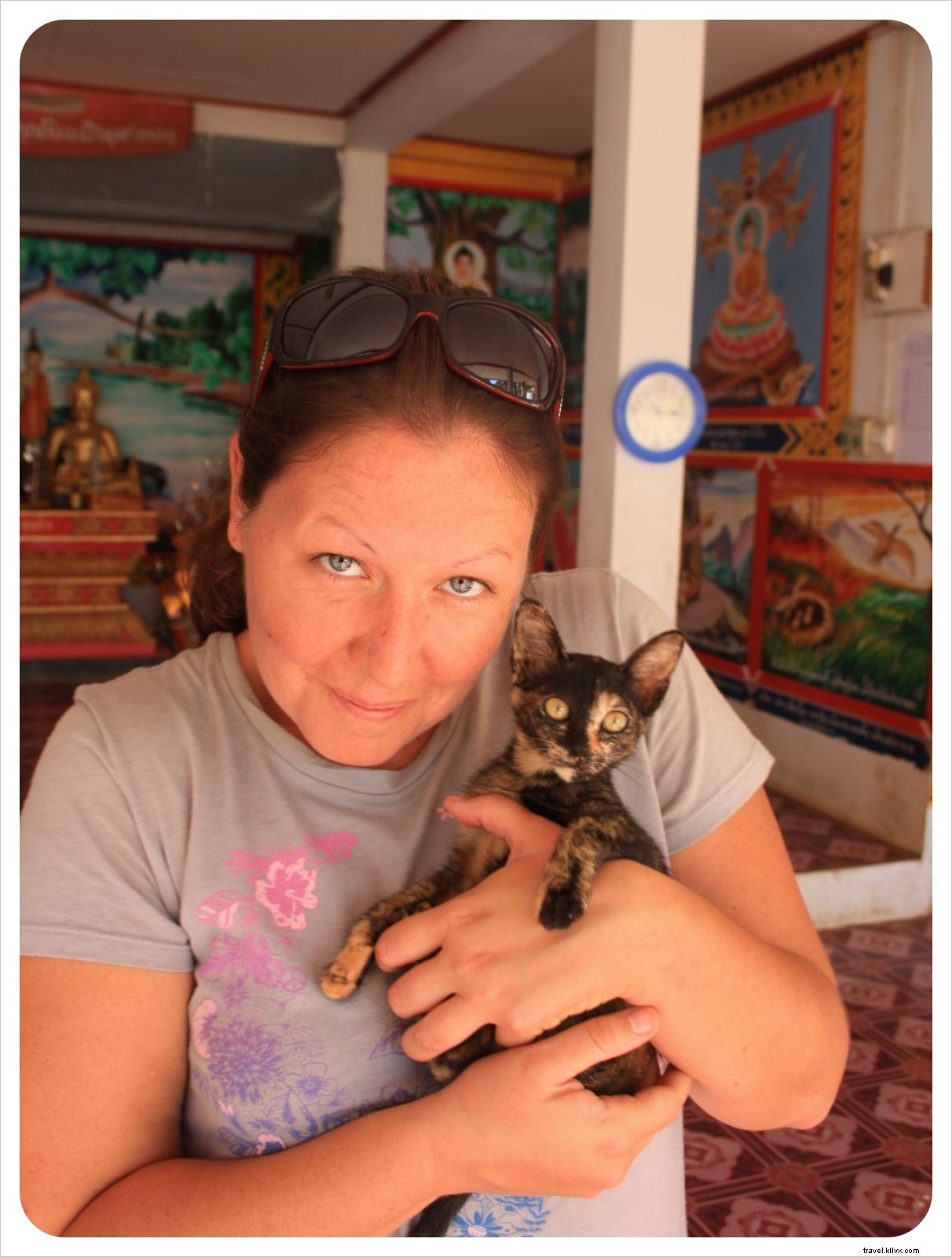 A Traveler s Heartache: Animal Welfare Challenges in Thailand