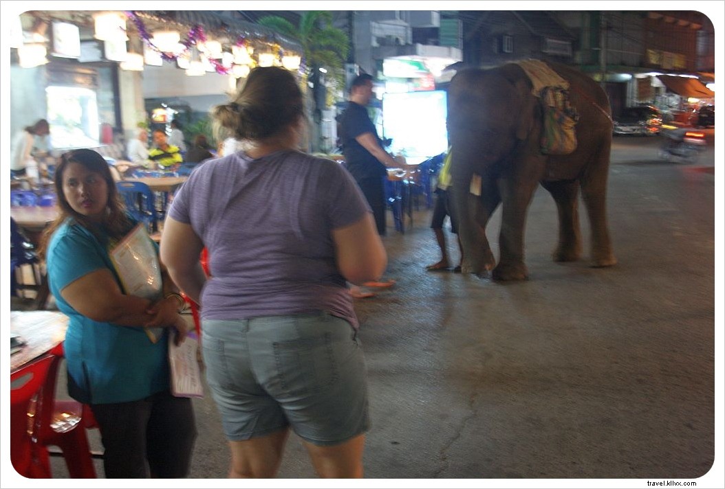 A Traveler s Heartache: Animal Welfare Challenges in Thailand