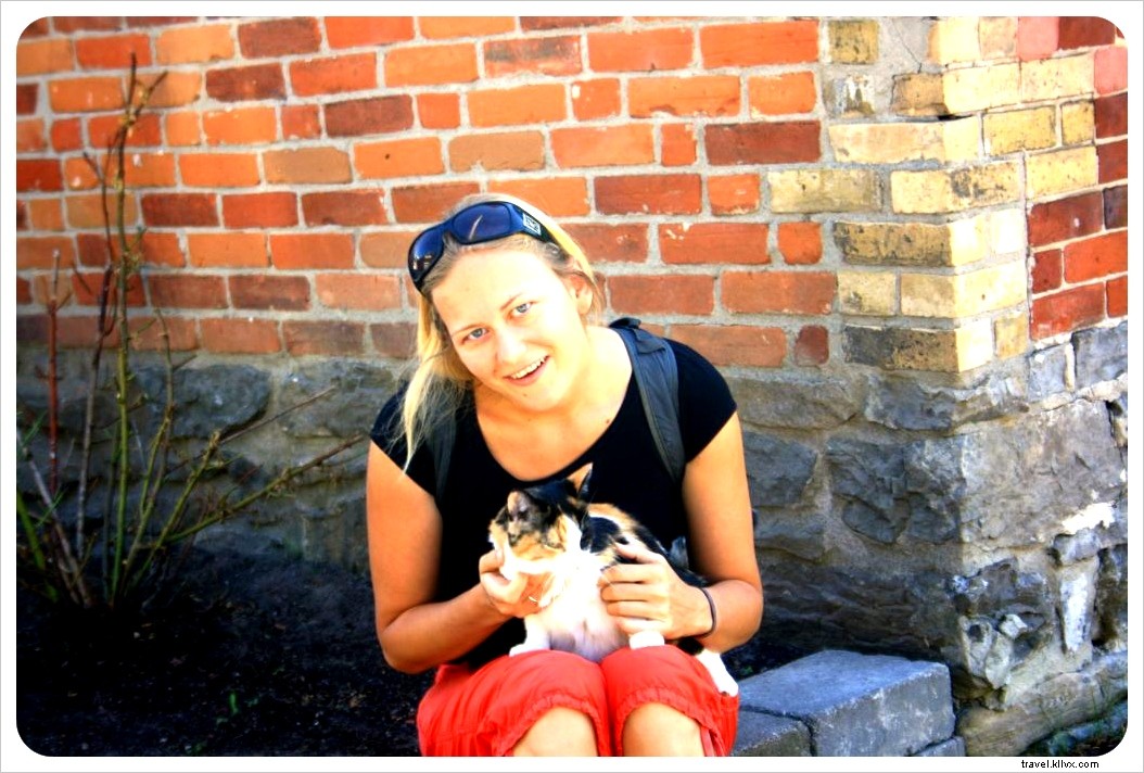 A Traveler s Heartache: Animal Welfare Challenges in Thailand