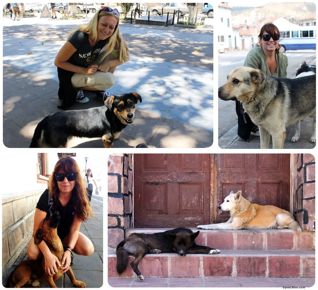 Sucre, Bolivia: Colonial White City Bliss, Vegetarian Heaven, and Our Unexpected Health Nightmare