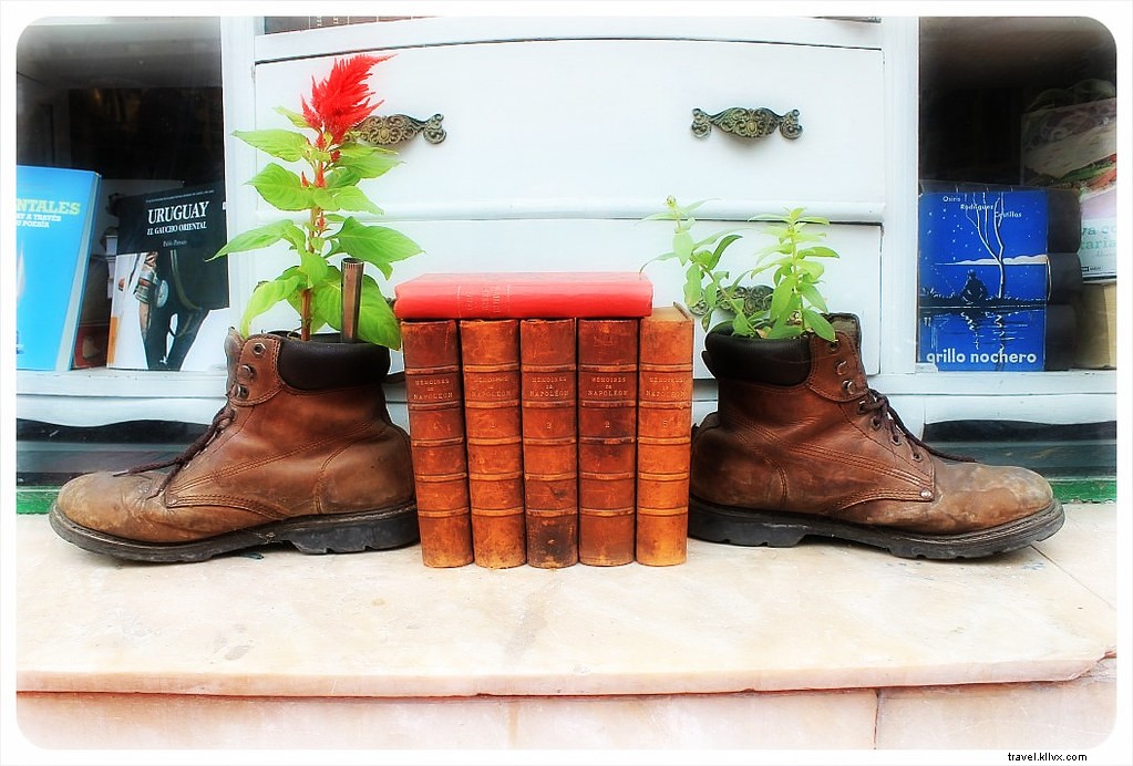Photo Essay: Exploring Montevideo, Uruguay s Vibrant Capital on Foot