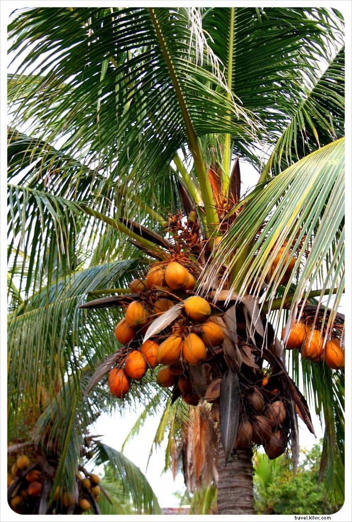 Our 88-Day Photographic Journey Through Mexico: Vibrant Cities, Ancient Ruins, and Pristine Beaches