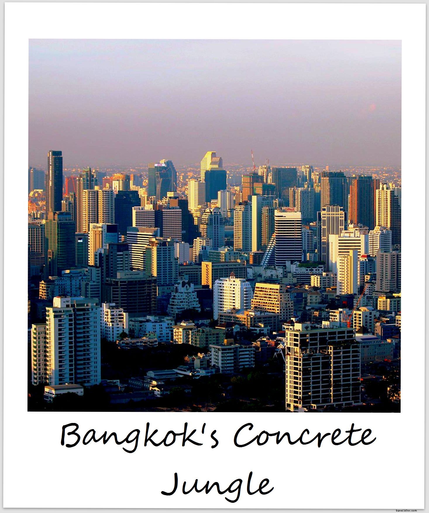 Polaroid of the Week: Bangkok s Vibrant Concrete Jungle – City of Life
