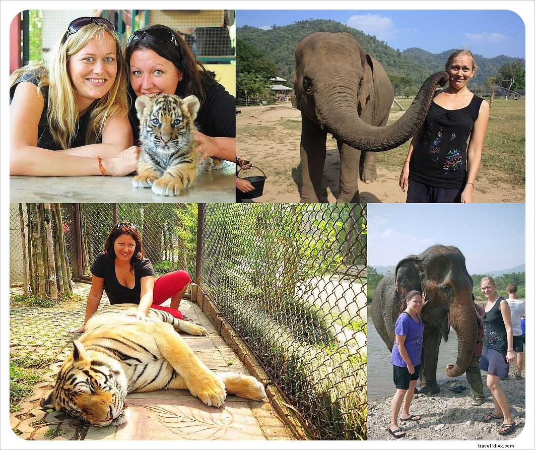 700 Days of Nomadic Travel: Reflections on Our Most Intense 100 Days in Southeast Asia