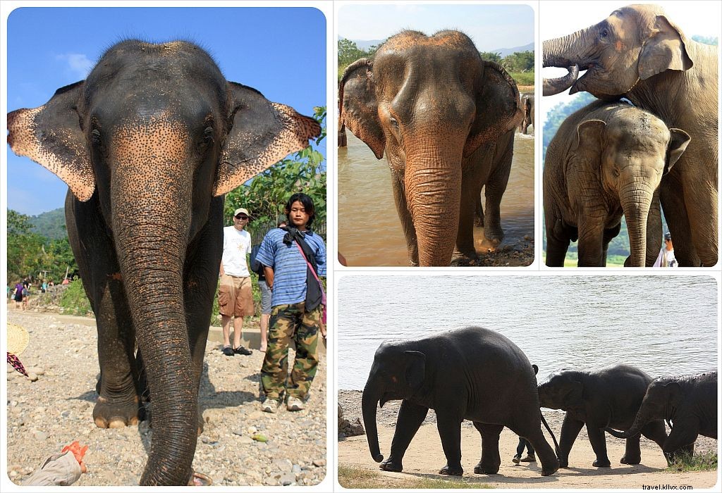 Days 601-700: Southeast Asia s Top Highlights and Rare Lows