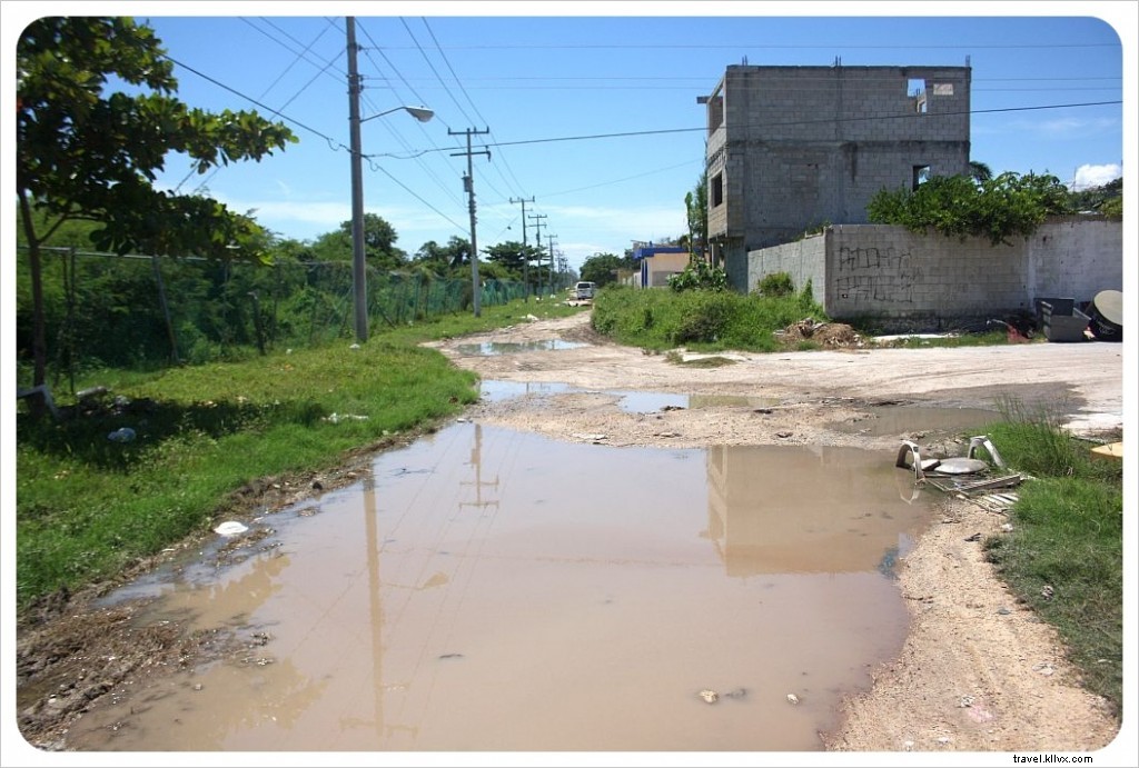 The Two Faces of Playa del Carmen: Exploring the Iconic Fifth Avenue from Tourist Haven to Local Reality
