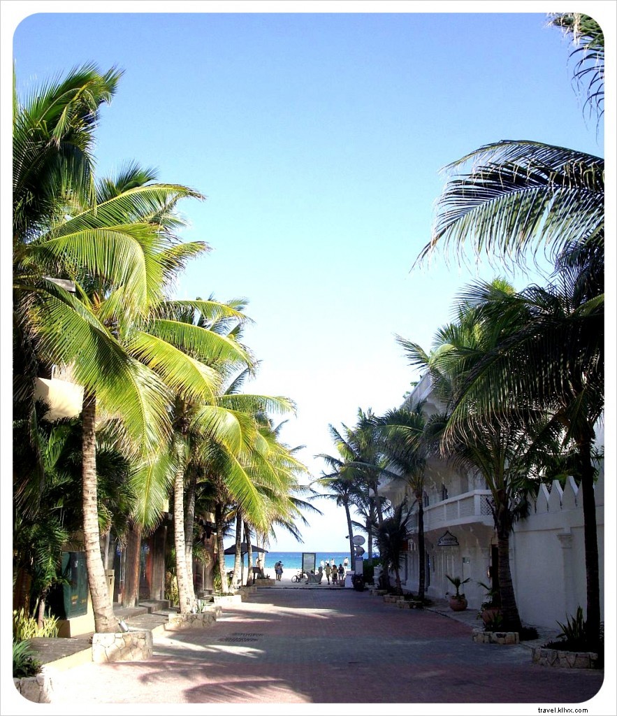 The Two Faces of Playa del Carmen: Exploring the Iconic Fifth Avenue from Tourist Haven to Local Reality