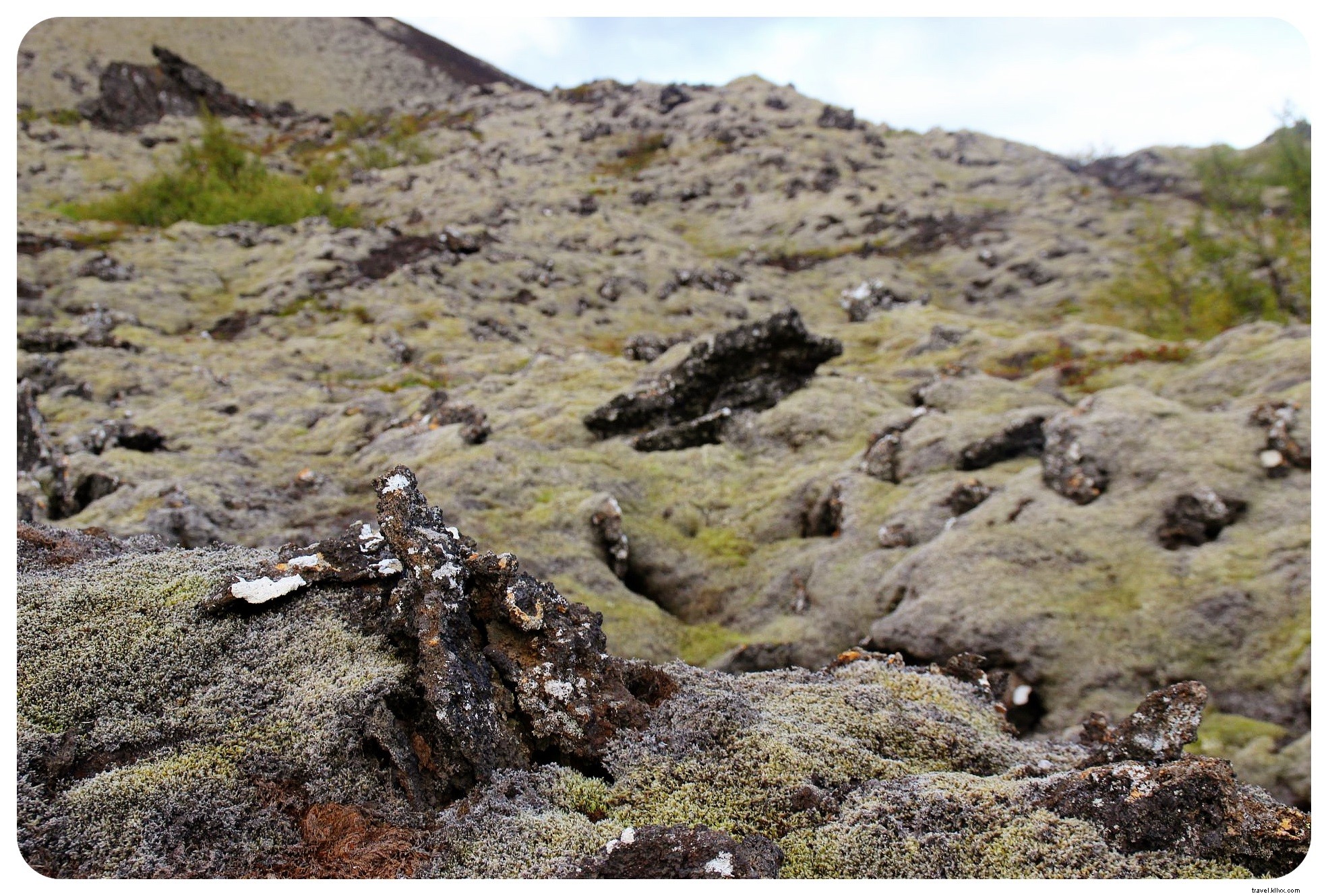 Epic Iceland Ring Road Adventure: Day 2 Highlights from Dyrhólaey to Jökulsárlón + Essential Driving Tips