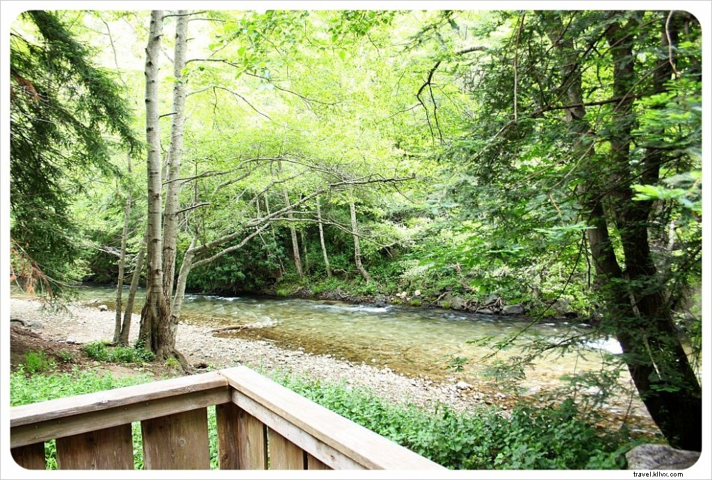 Ultimate Pacific Coast Highway Road Trip: Itinerary from LA to SF + Essential PCH Tips