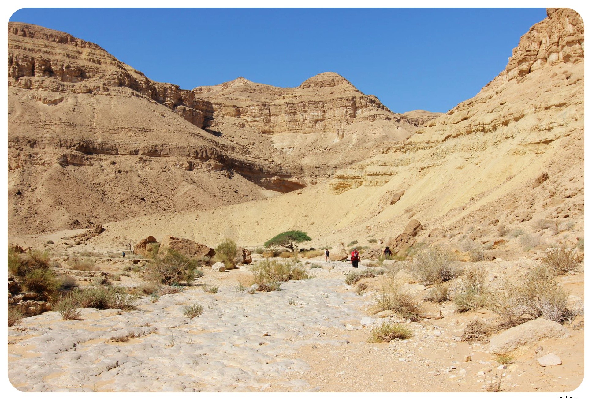 Hiking Israel s National Trail: Conquering the Negev Desert (Part 1)