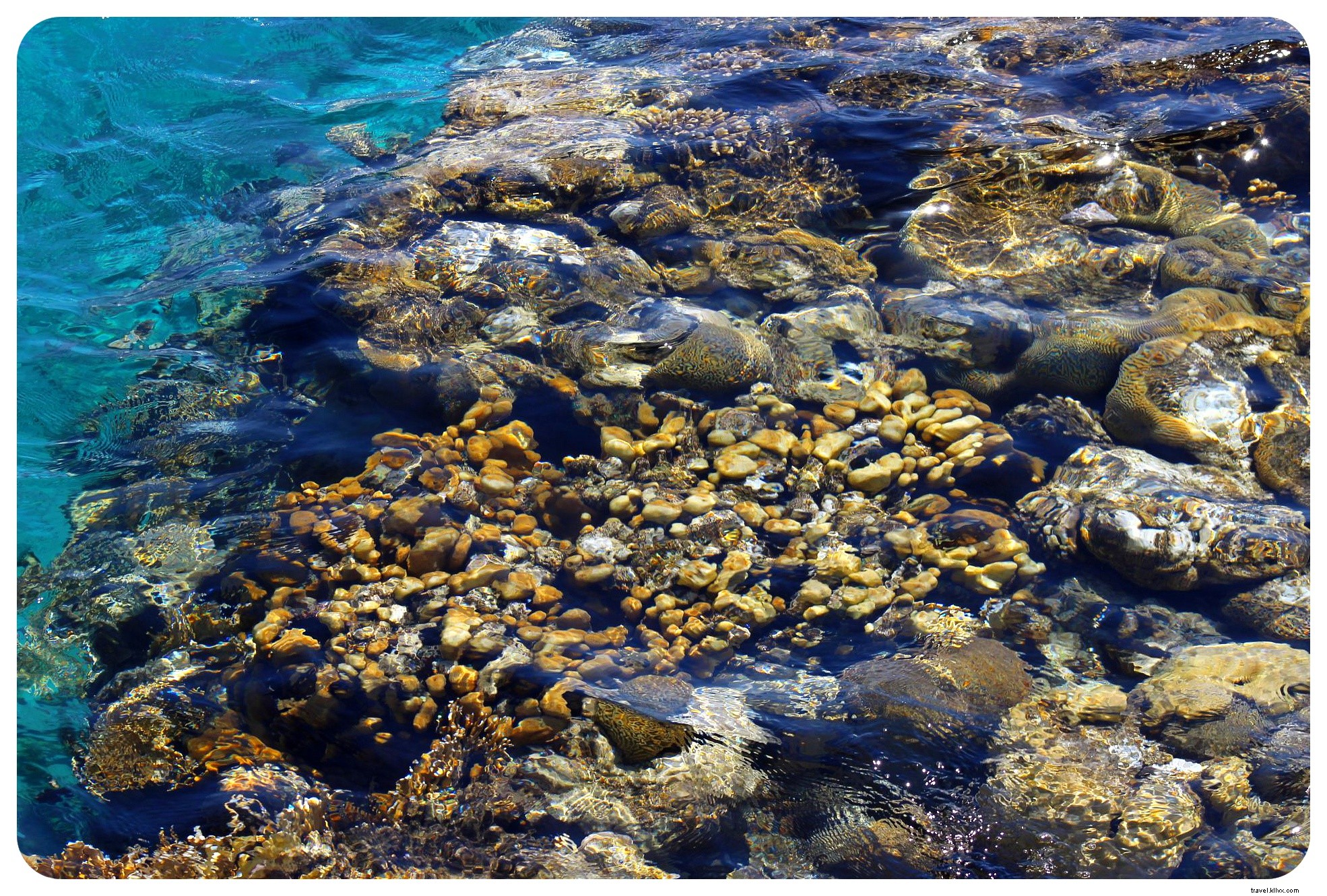 Eilat: Israel s Stunning Red Sea Resort and Snorkeling Haven