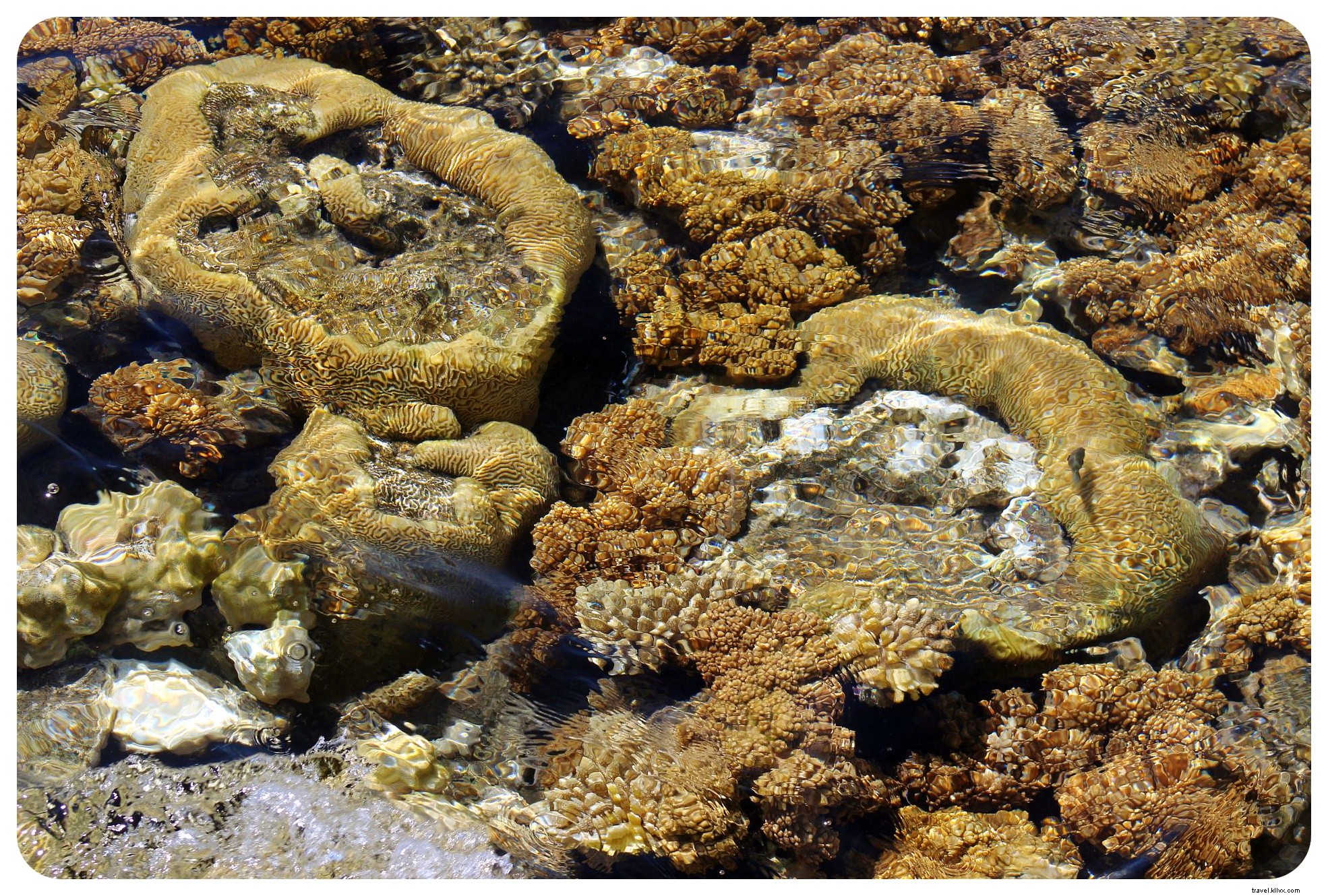 Eilat: Israel s Stunning Red Sea Resort and Snorkeling Haven