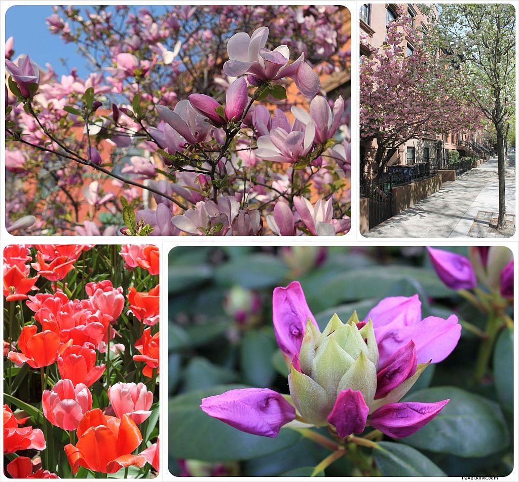 Housesitting in New York: Our Two-Month Dream of Authentic Brooklyn Living