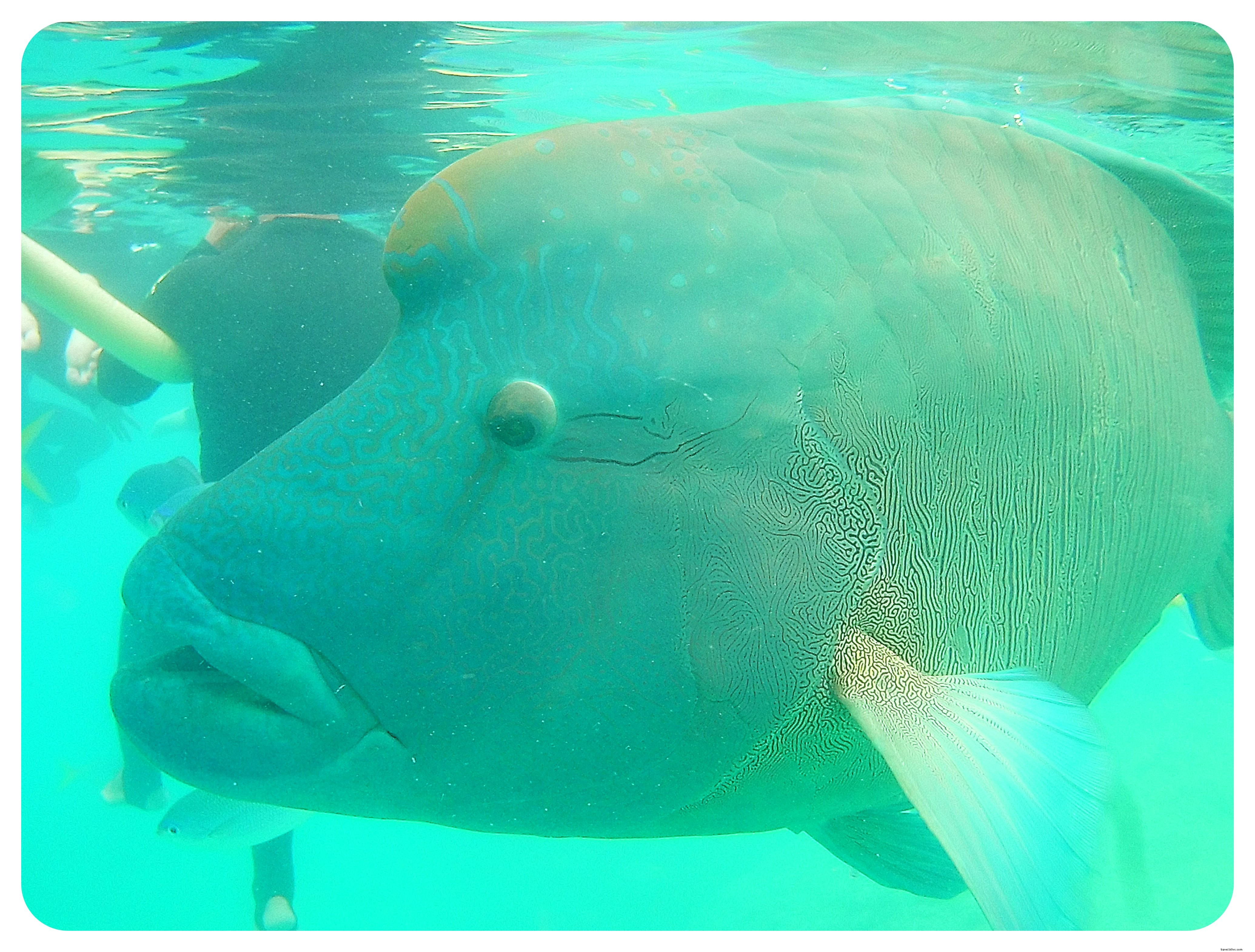 Ultimate Australia Bucket List: Top 10 Iconic Must-Visit Experiences