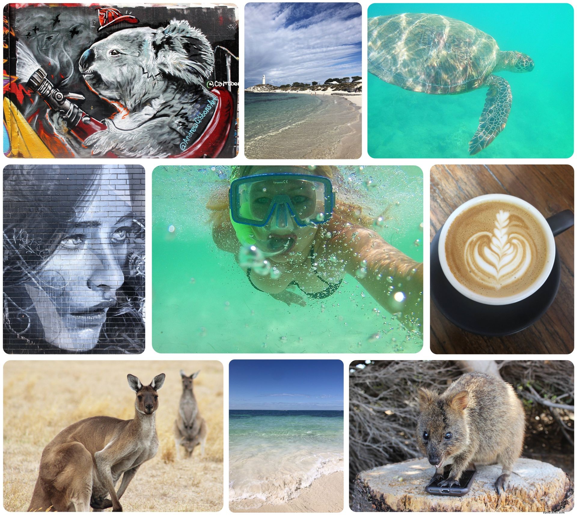 Top 6 Unforgettable Australia Travel Highlights: A Traveler s Insider Guide