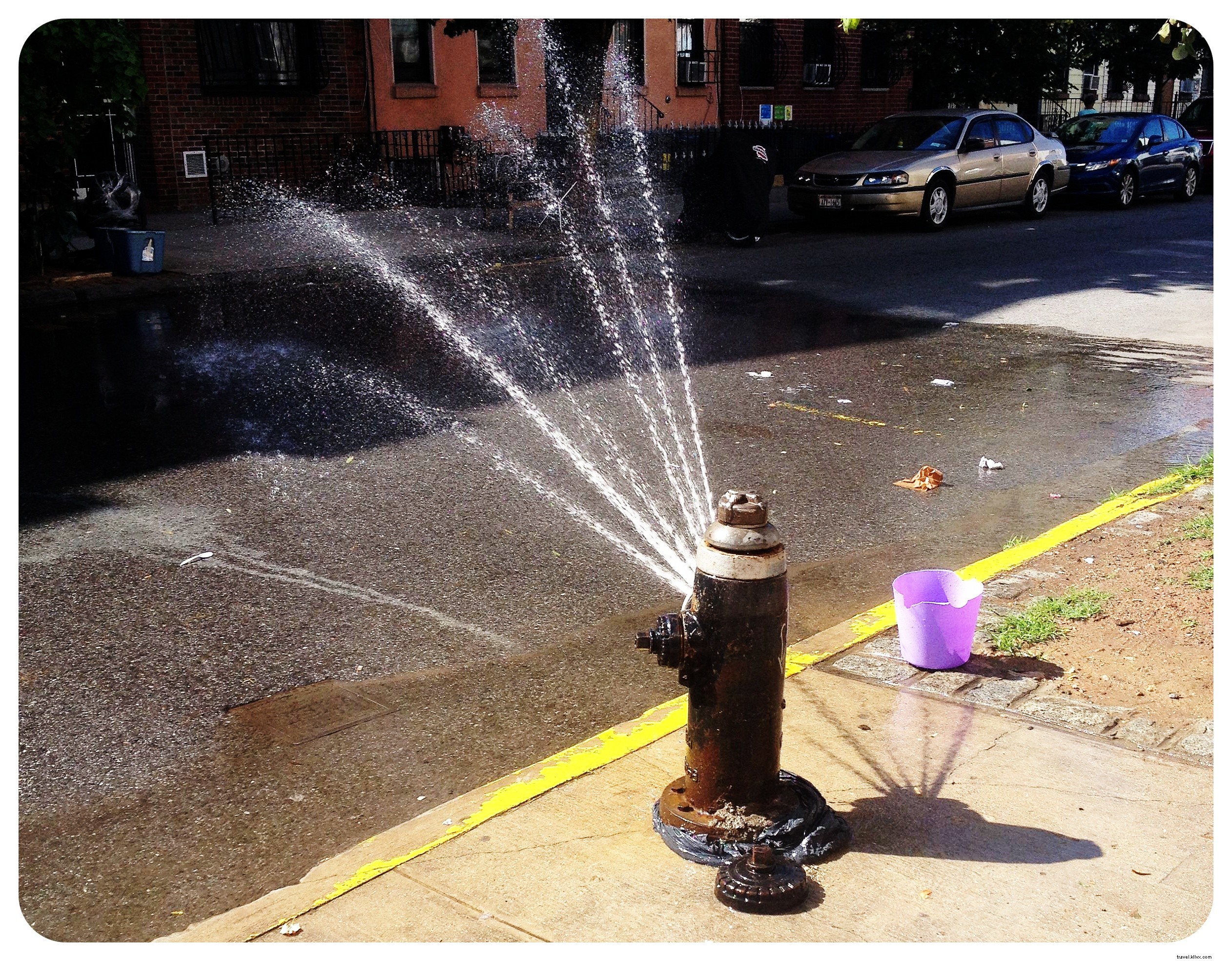 28 Best Things to Do in New York City This Summer: Free & Budget-Friendly Guide