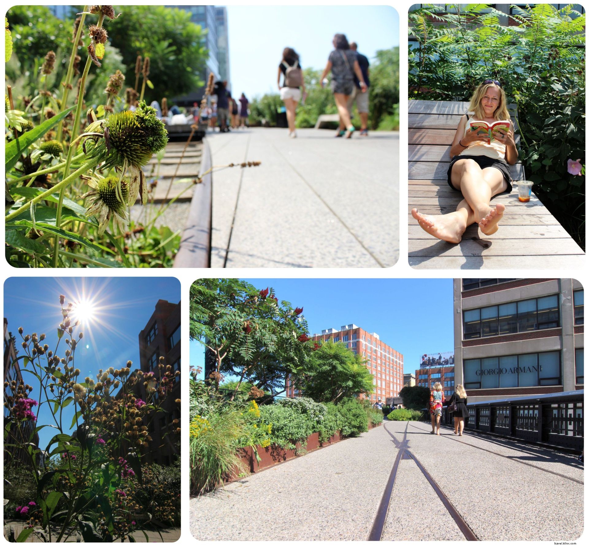 28 Best Things to Do in New York City This Summer: Free & Budget-Friendly Guide