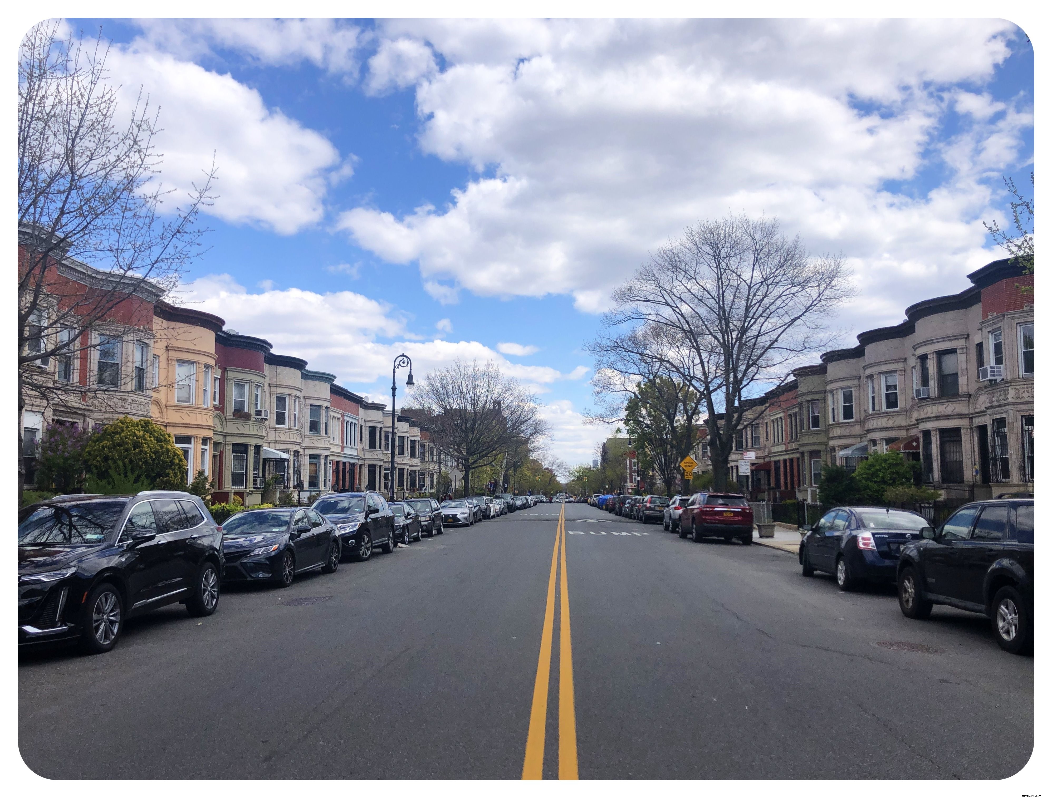 Life in New York City During the COVID-19 Lockdown: A Resident s Firsthand Account