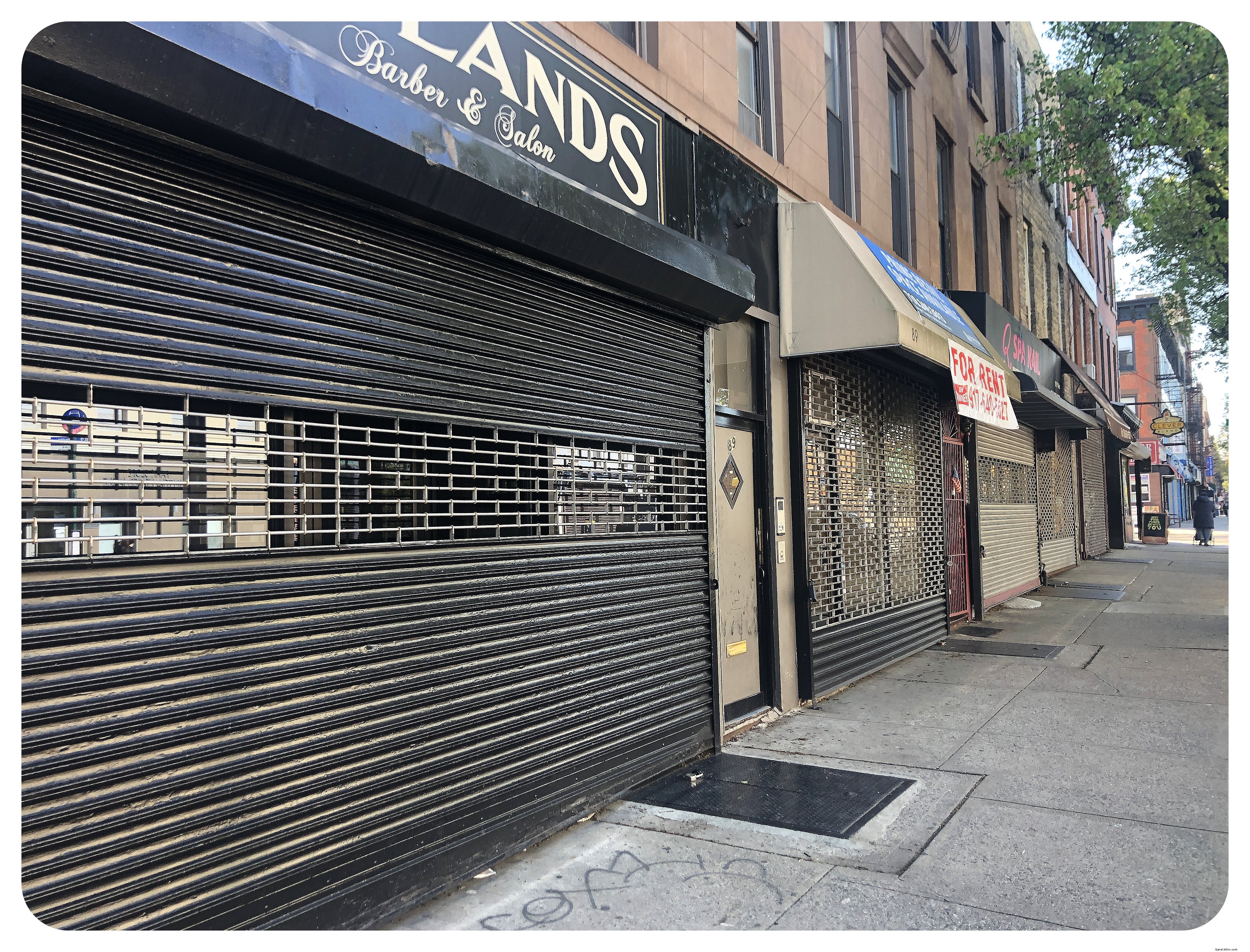 Life in New York City During the COVID-19 Lockdown: A Resident s Firsthand Account