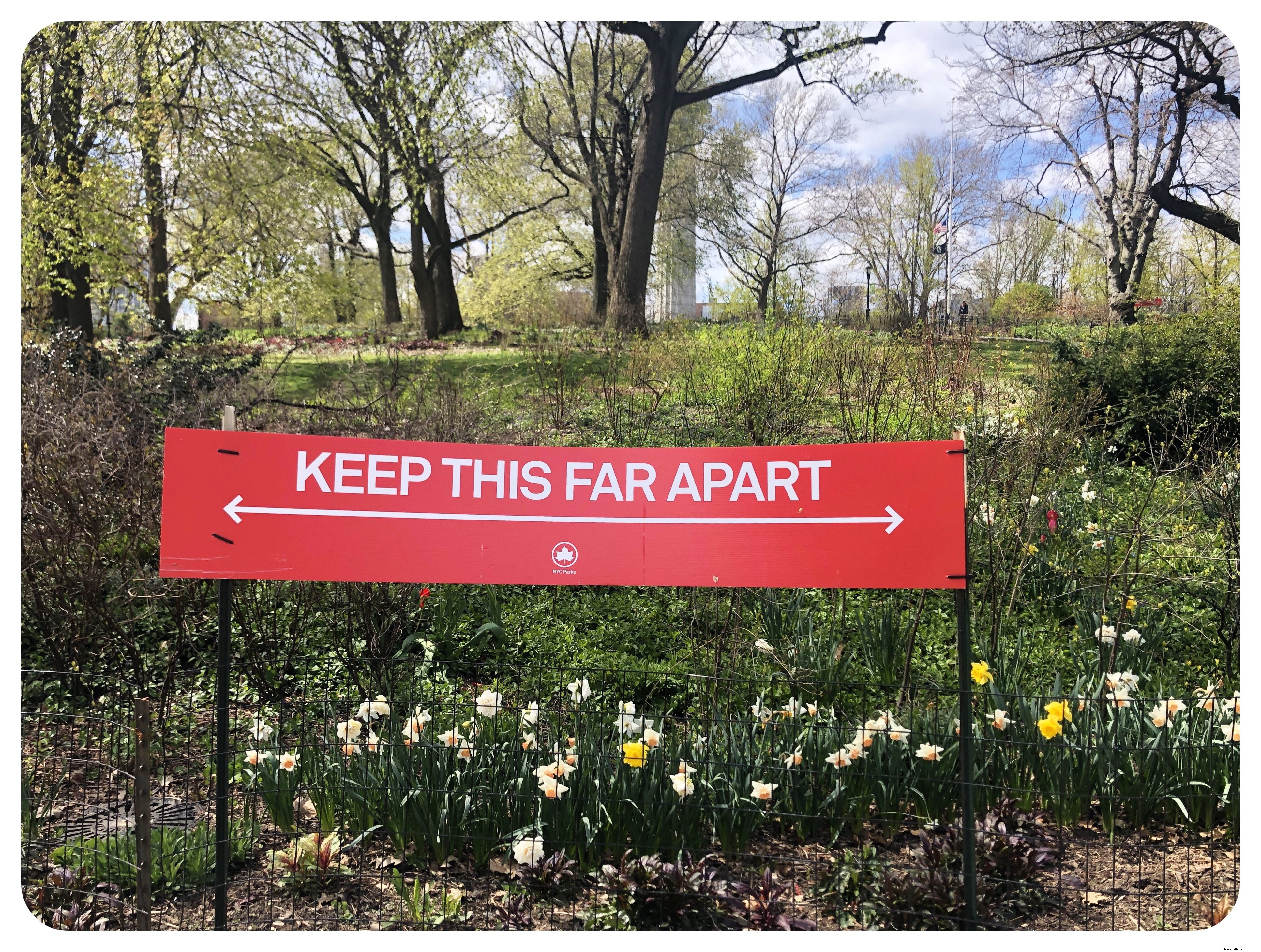 Life in New York City During the COVID-19 Lockdown: A Resident s Firsthand Account