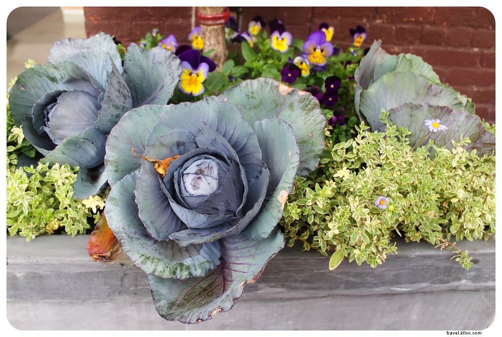 Williamsburg, Brooklyn: NYC s Dynamic Hipster Haven and Emerging Hotspot