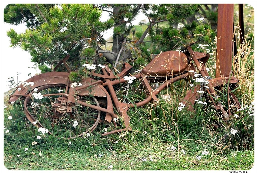Hitchhiking to Ushuaia: An Adventurous Journey to the End of the World in Tierra del Fuego