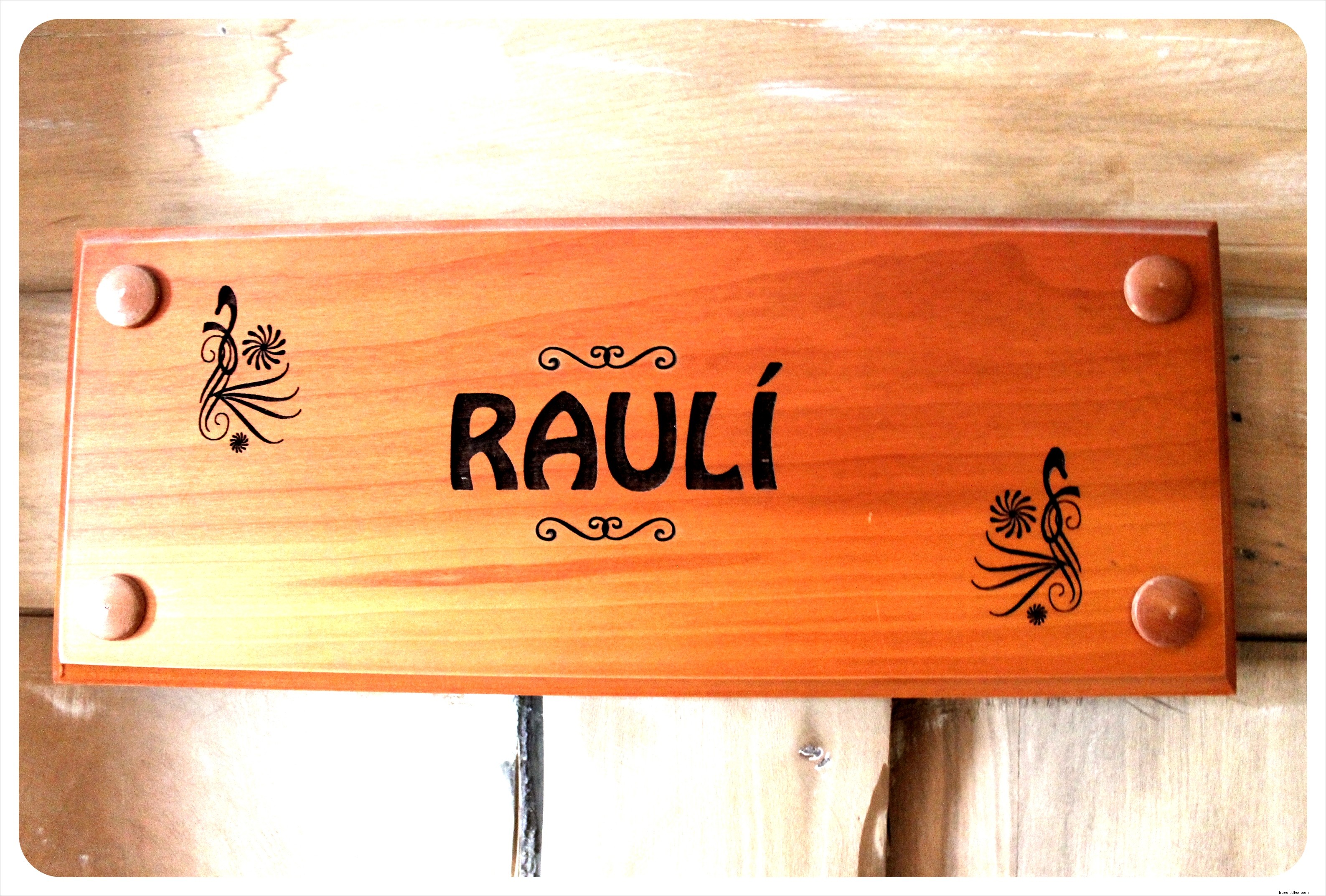 Best Budget Hostel in Valdivia, Chile: Hostal Bosque Nativo Review