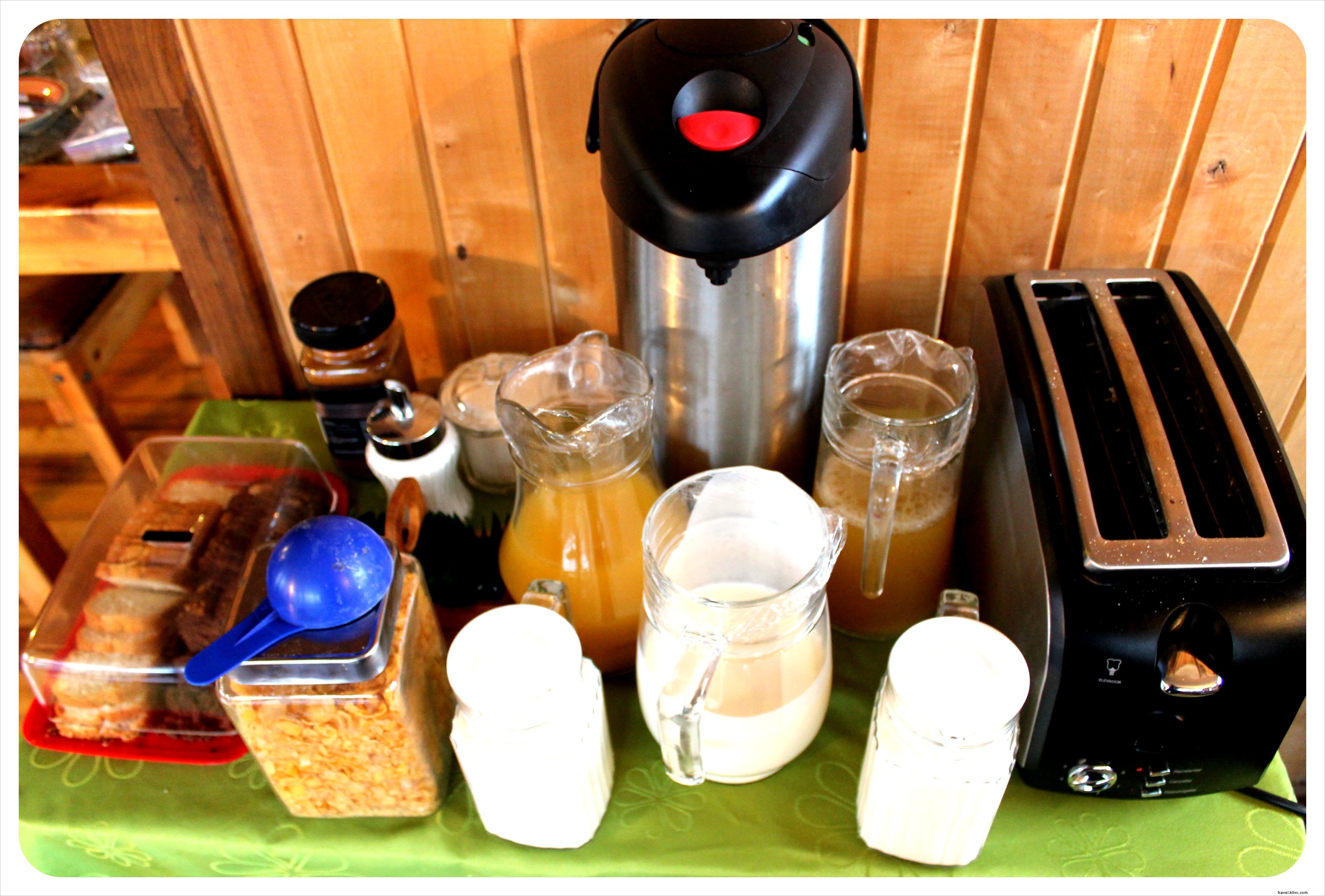 Best Budget Hostel in Valdivia, Chile: Hostal Bosque Nativo Review