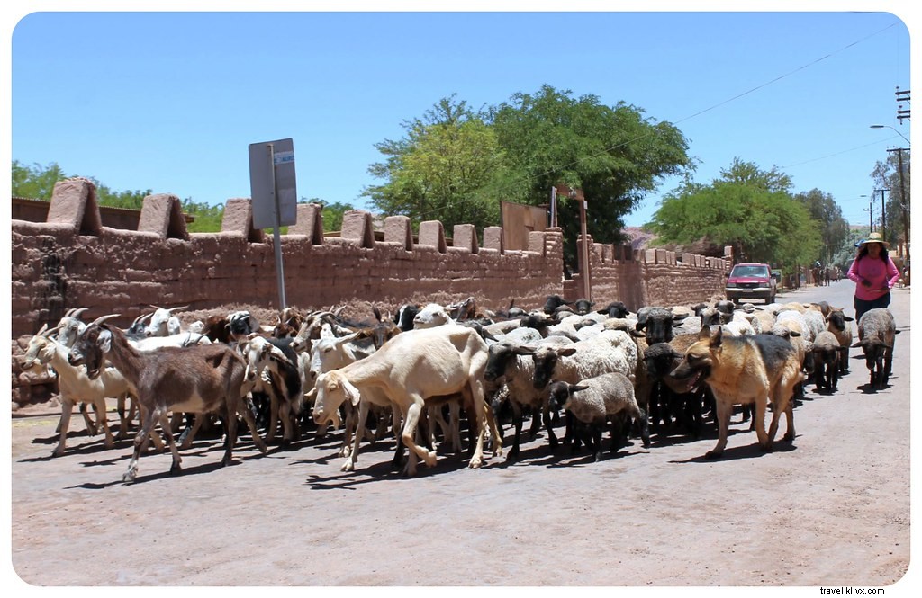 San Pedro de Atacama: Immersing in the Timeless Spirit of Chile s Atacama Desert