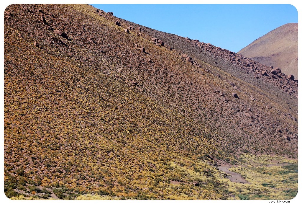 Discovering the Otherworldly Landscapes of Chile s Atacama Desert: A Photo Essay