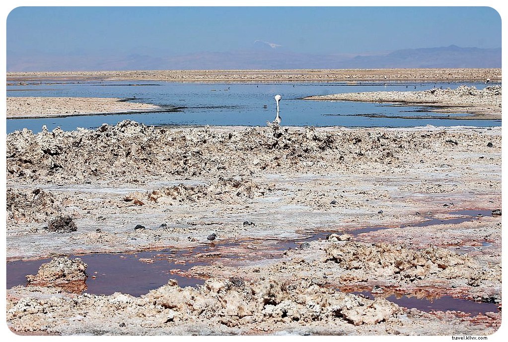Discovering the Otherworldly Landscapes of Chile s Atacama Desert: A Photo Essay