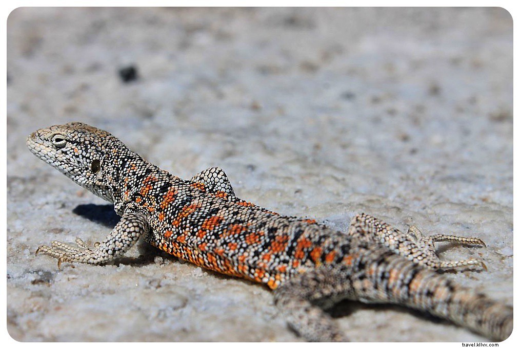 Discovering the Otherworldly Landscapes of Chile s Atacama Desert: A Photo Essay
